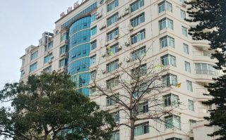 石家庄茂名入职体检服务