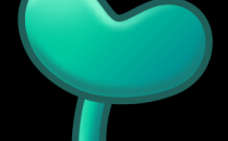 石家庄【经验】入职体检三甲上外虹口旁边