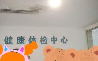 石家庄陇南入职体检服务