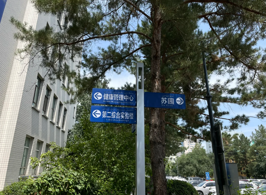 石家庄乌鲁木齐入职体检服务-第1张图片-代解忧